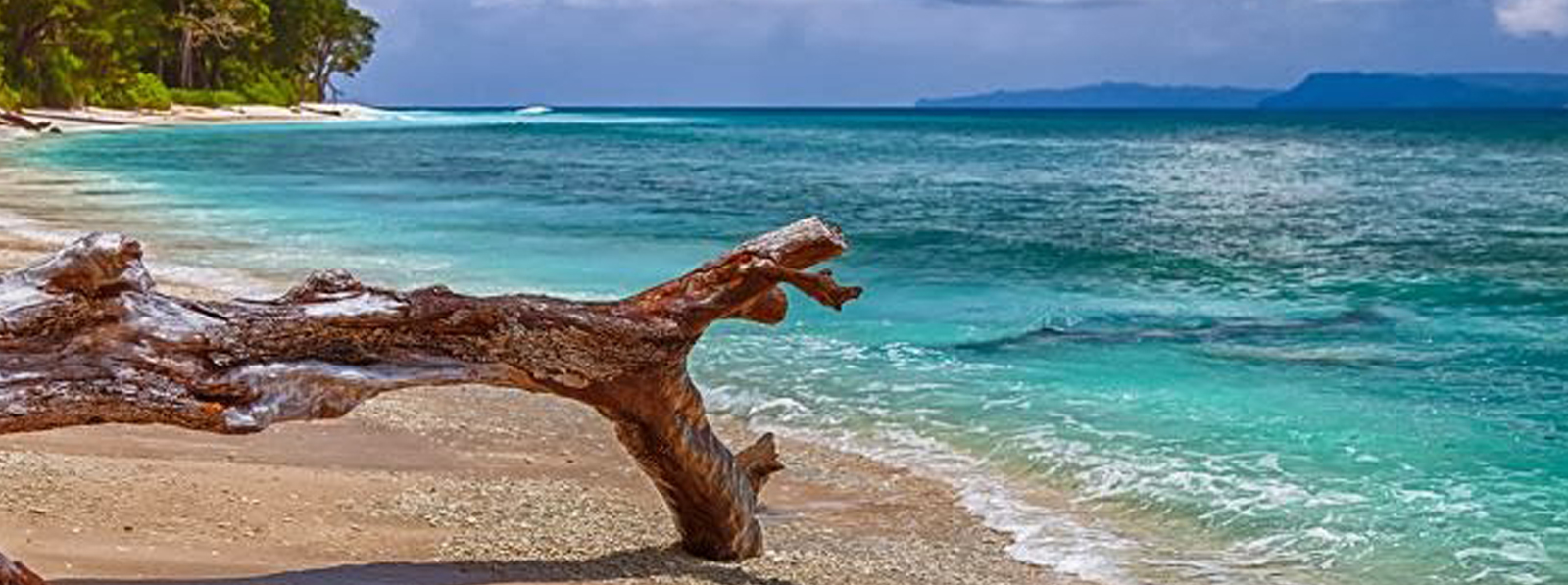 Amazing Andaman