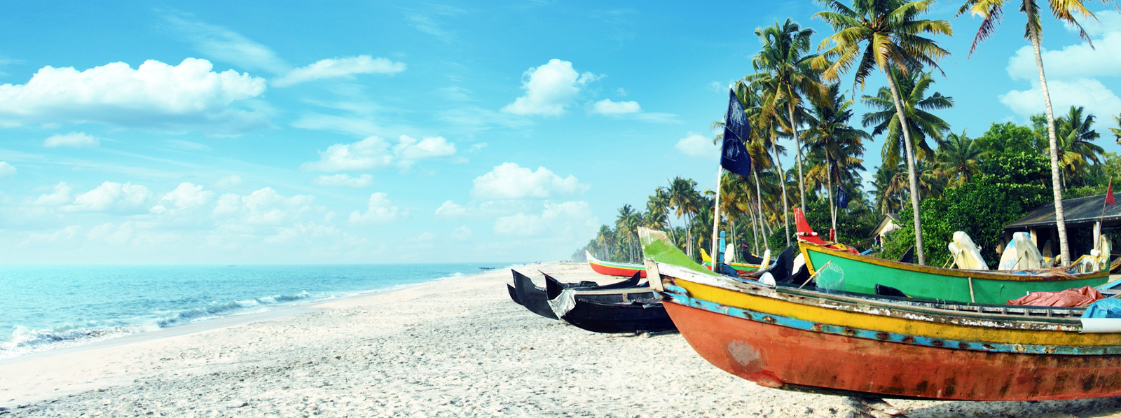 goa-banner1
