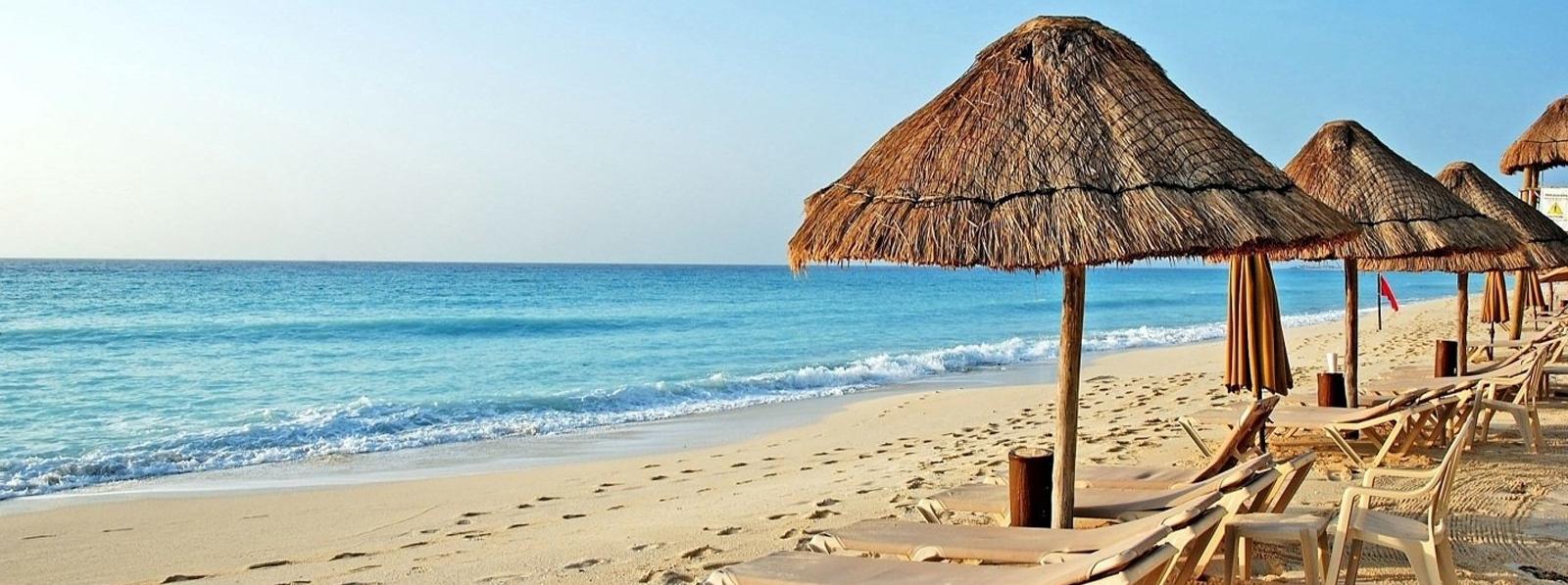 goa-banner