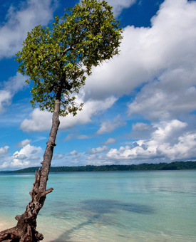 Quick Andaman Escape